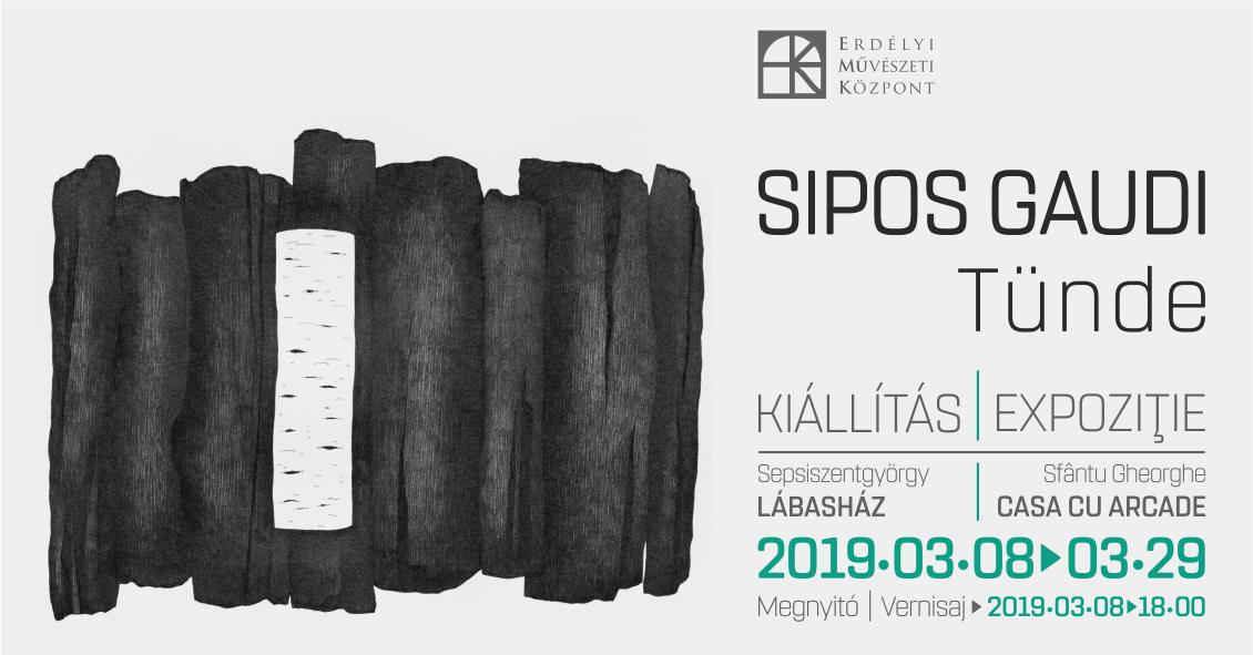 Sipos Gaudi Tünde kiállítása - Erdélyi Művészeti Központ - 2019